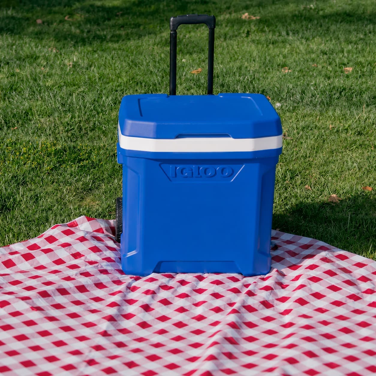Cooler 28 Litros Igloo